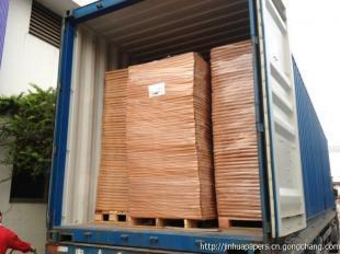 揭秘优质无碳纸 中山市金华无碳纸制品的卓越之路