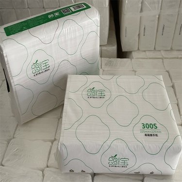 资阳市纸制品厂 纸及纸制品的生产与发展